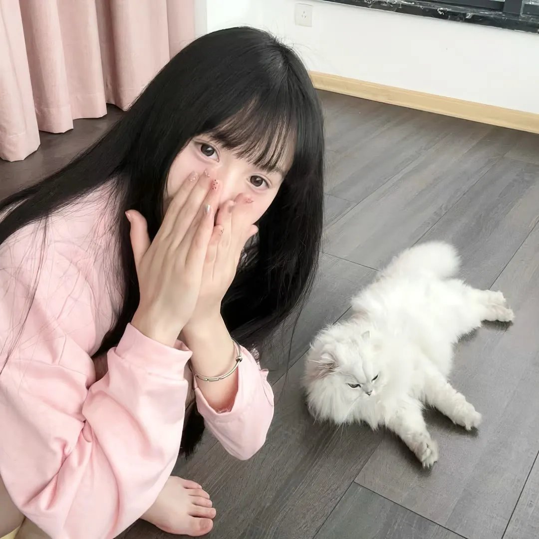 蜡笔小新第五季